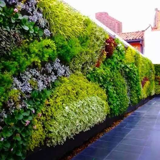 Paket Tanaman Vertical Garden / Taman Vertical Sintetis Indoor