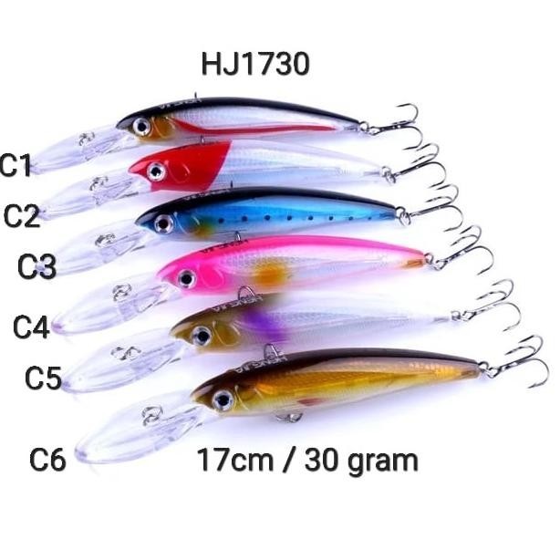 Umpan Minnow Killer Lidah Panjang Medium 17Cm 30 Gram Hj1730
