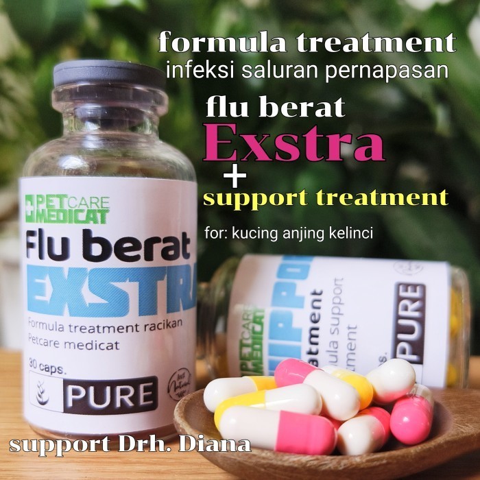 obat flu kucing obat flu berat ekstra obat flucat obat flu kucing