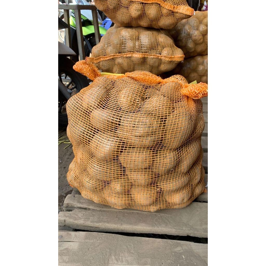 

Kentang Dieng Super medium 25 kg fresh dari petani Farm