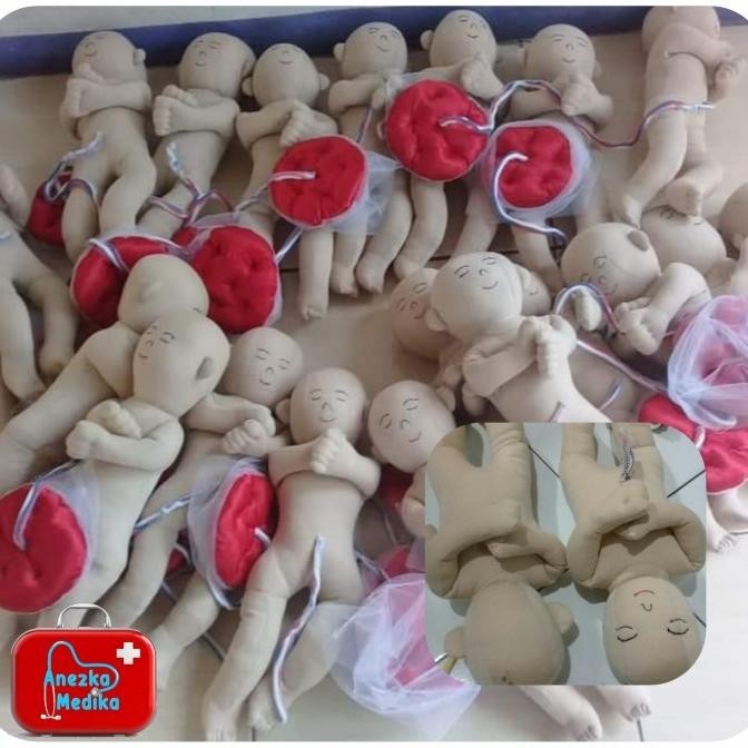 Phantom/Manikin/Manekin/Bayi Plasenta