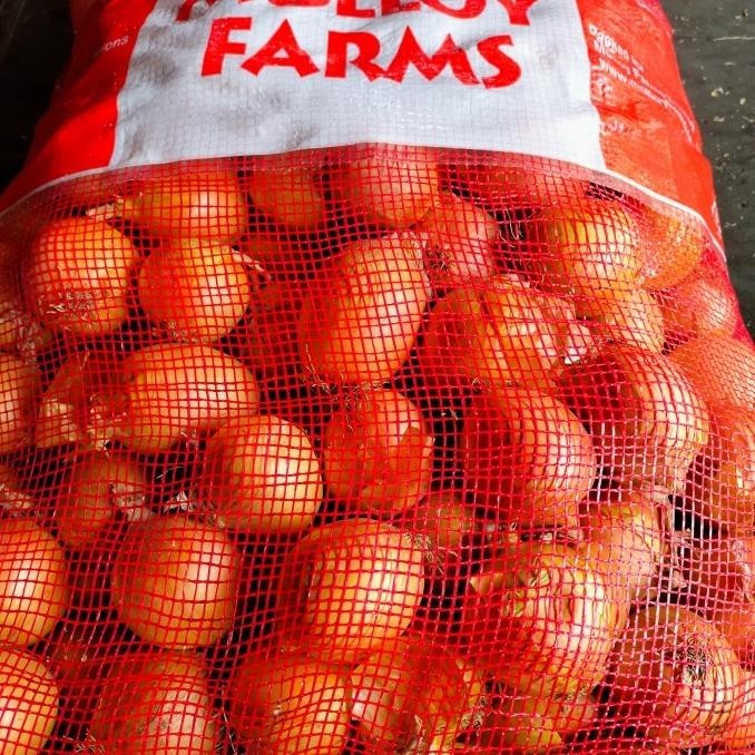 

jual bawang Bombay kecil karungan (+- 20 kg )