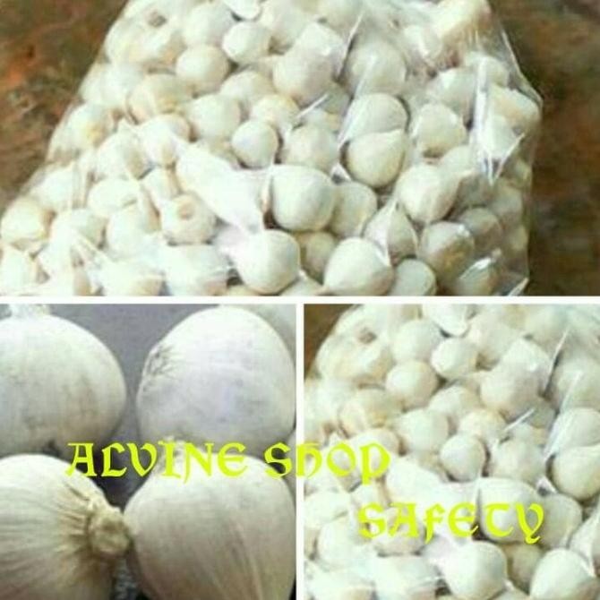 

BAWANG PUTIH TUNGGAL / BAWANG LANANG ALAMI