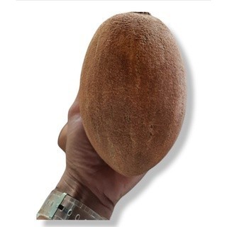 (For Sale) Buah Mamey Sapote, Mamey Sapote