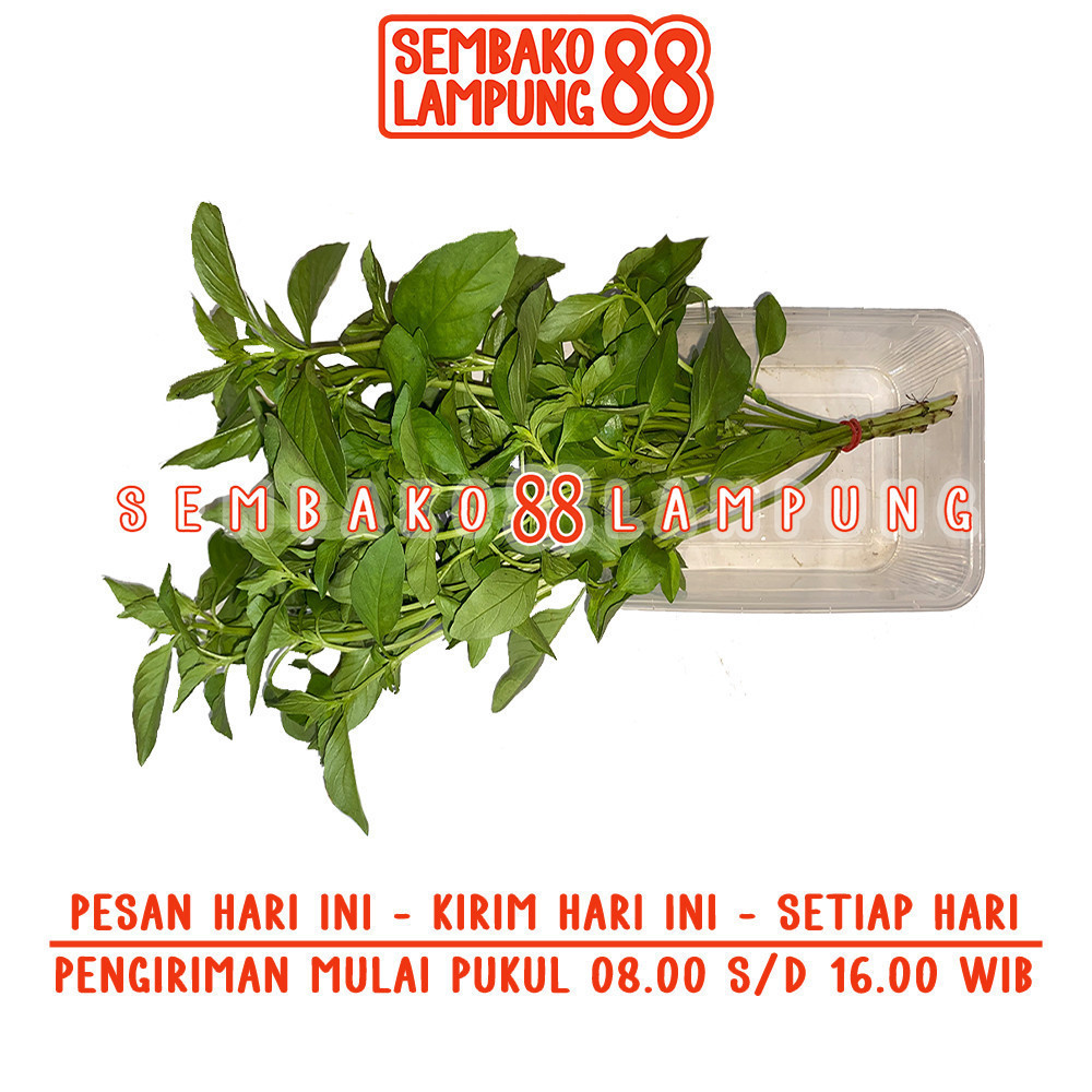 

Kemangi 1 Ikat | Sembako Lampung 88