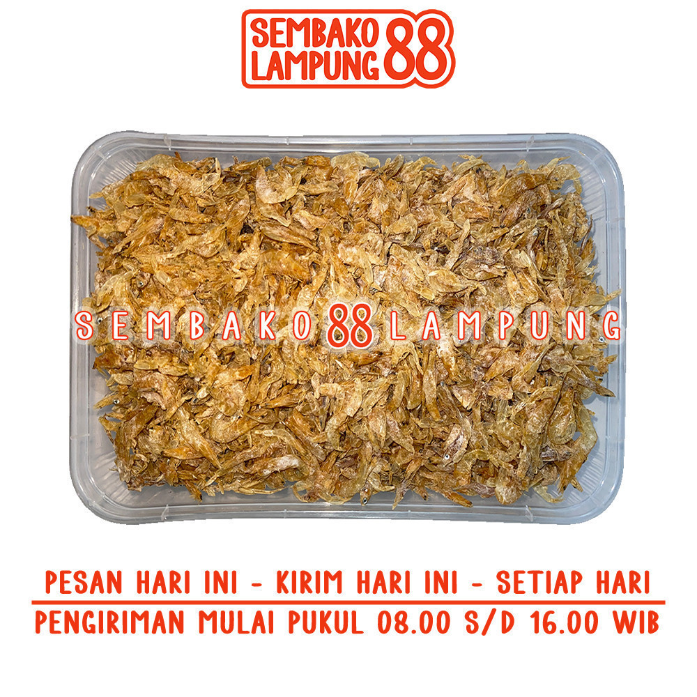 

Udang Rebon 100 Gr | Sembako Lampung 88