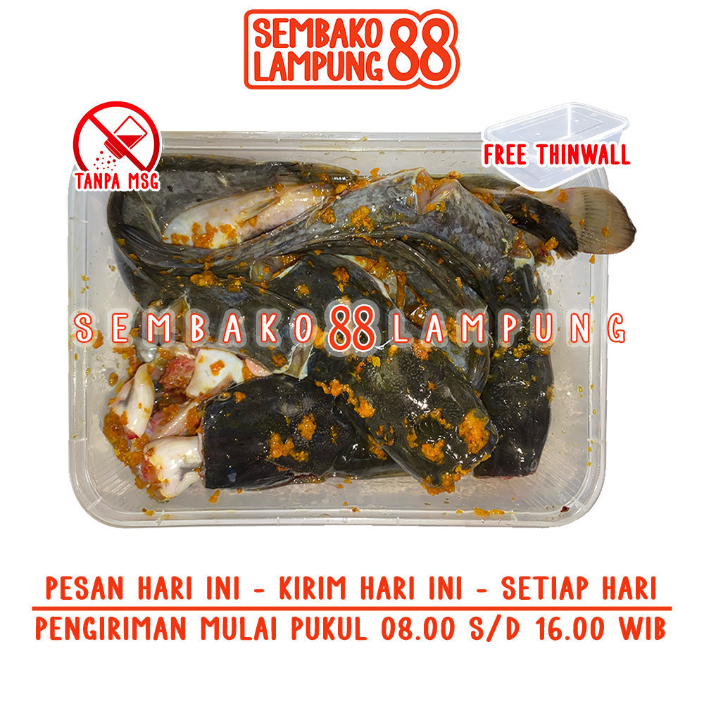 

Ikan Lele Bumbu Kuning 500 Gr | Sembako Lampung 88