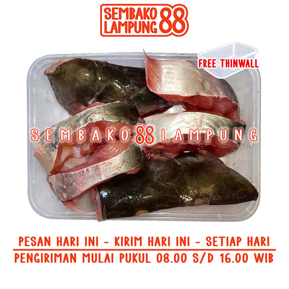 

Ikan Patin Segar 500 Gr | Sembako Lampung 88