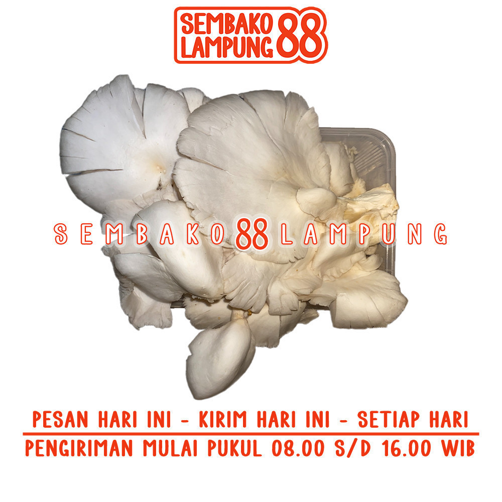 

Jamur Tiram 250 Gr | Sembako Lampung 88