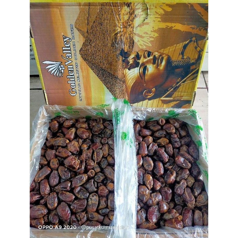 

KURMA MESIR GOLDEN VALEY ASLI