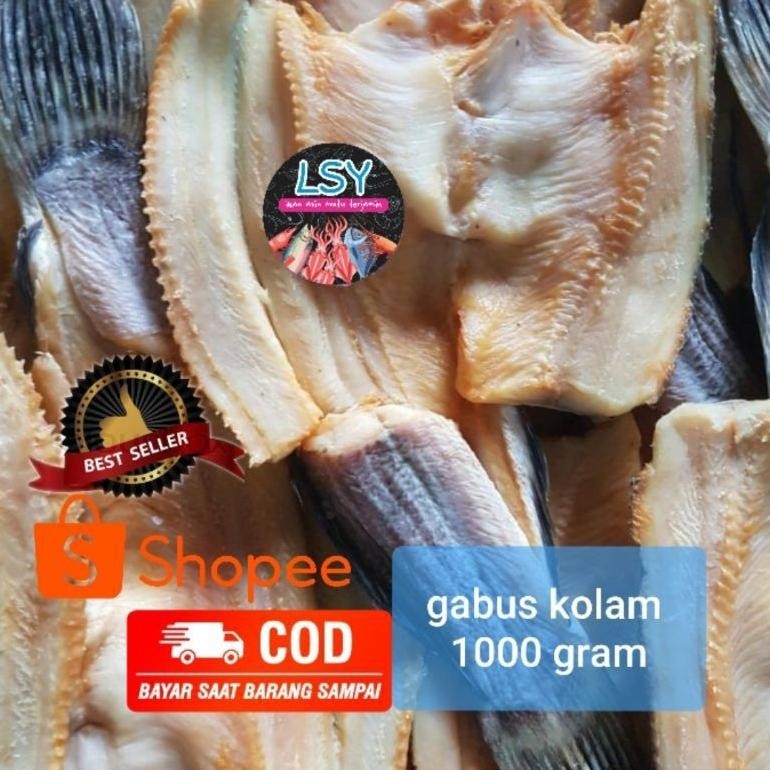 

ikan asin gabus kolam size besar 1kg