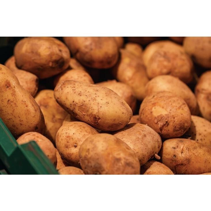 

Kentang Dieng Super Medium 25 Kg Fresh Dari Petani Fooxsale