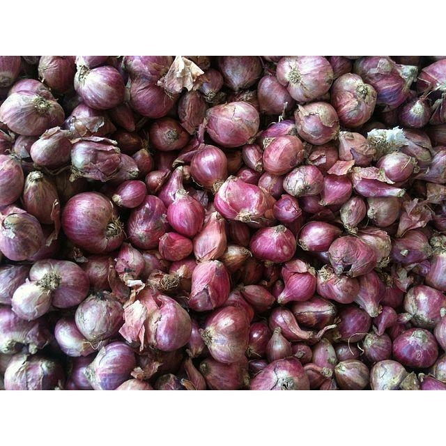 

Bawang Merah Besar Sedang Super Kering 1/2Kg Fresh Dari Petani Abadi