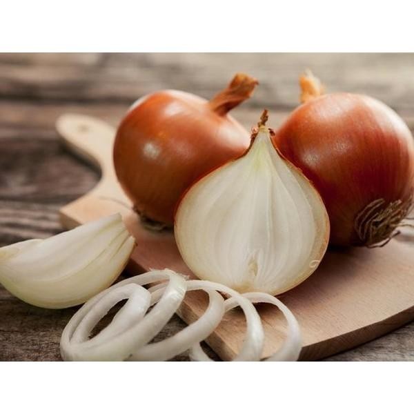 

Bawang Bombay Isi 250 Gr Fresh Dari Petani Arjuna