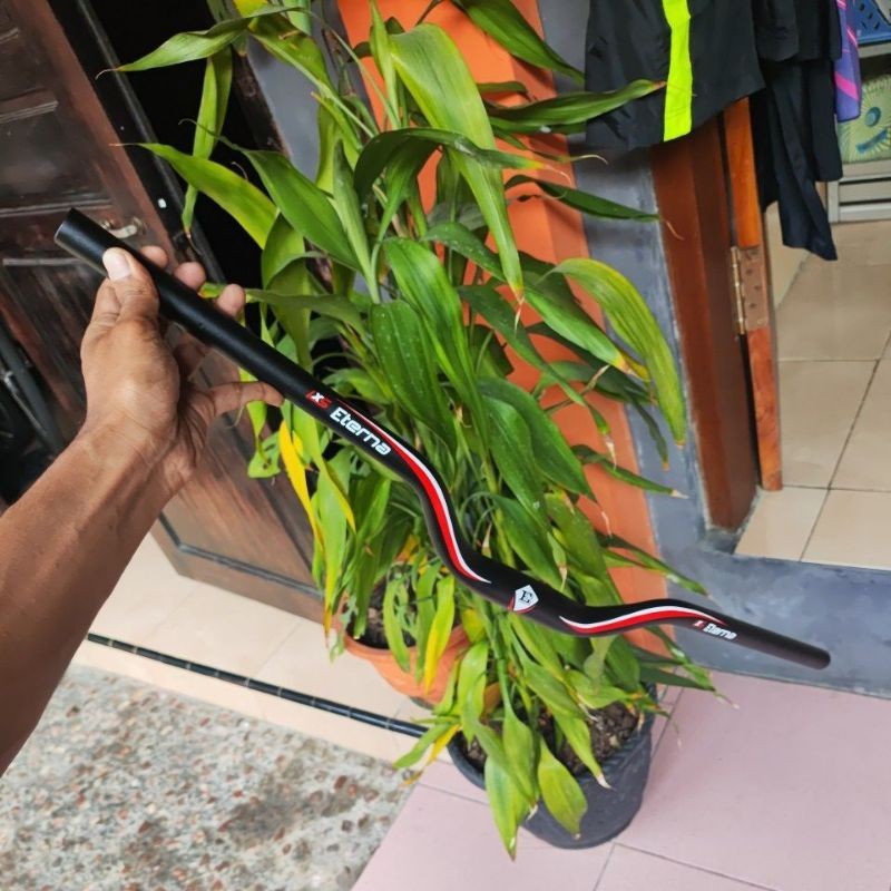 eterna handlebar mtb alloy oversize 31.8 stang sepeda mtb