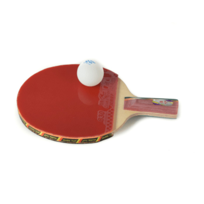 Double Fish Bat Tenis Meja 4A-E