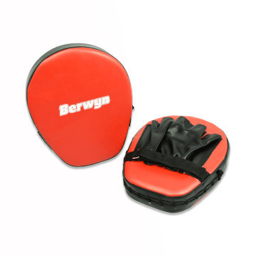 Bantalan Tinju Berwyn