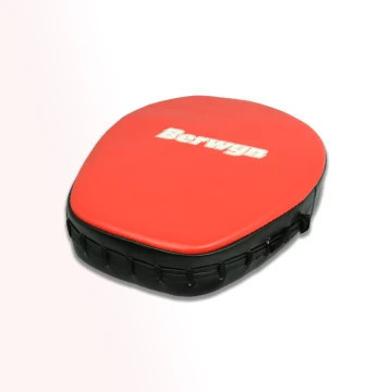 Bantalan Tinju Berwyn