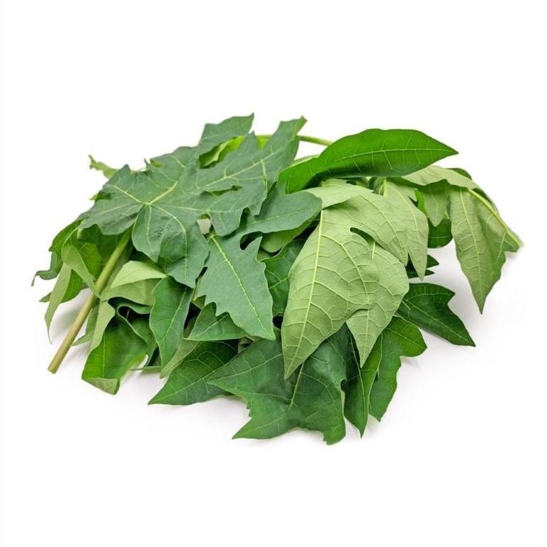 

1KG POWDER BUBUK SERBUK DAUN PEPAYA / KATES KEMASAN 1 KG RO04