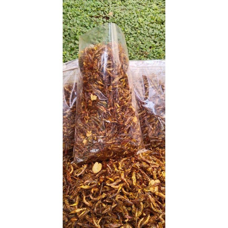 

Belalang goreng kecil kemasan 1 Kg cemilan enak gurih kriuk snack food sumber protein