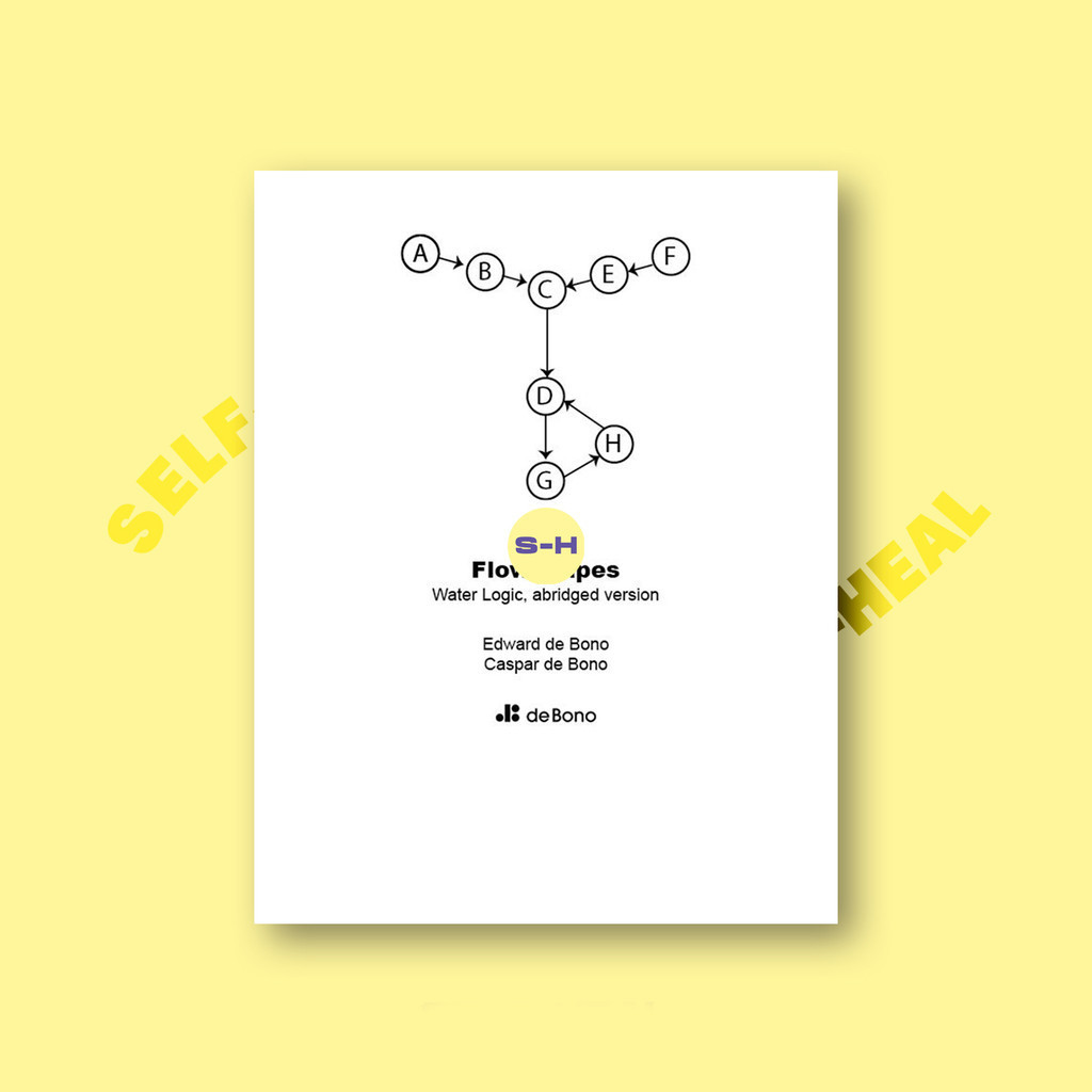 

Flowscapes - Water Logic Abridged - Edward de Bono