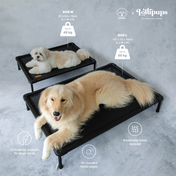 THE DURACOT (LARGE) -- ELEVATED DOG BED (PET COT, TEMPAT TIDUR HEWAN)