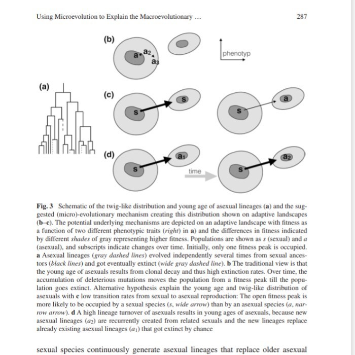 

Macroevolution Explanation, Interpretation And Evidence