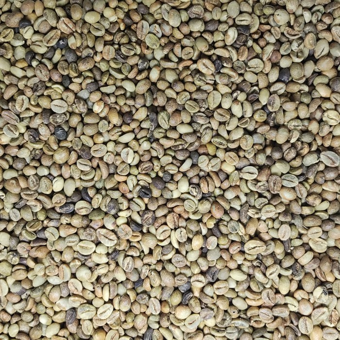 Green Bean Biji Kopi Mentah Robusta Lampung Grade 3 - 1 Kg