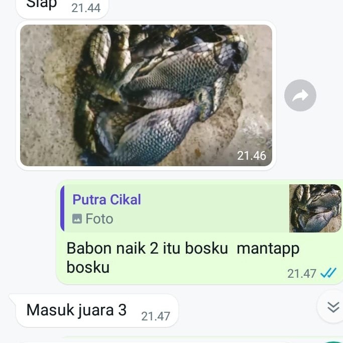 Essen X Plus Pisang Kepok