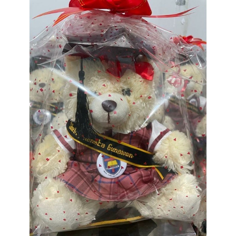 Boneka Wisuda BPK PENABUR