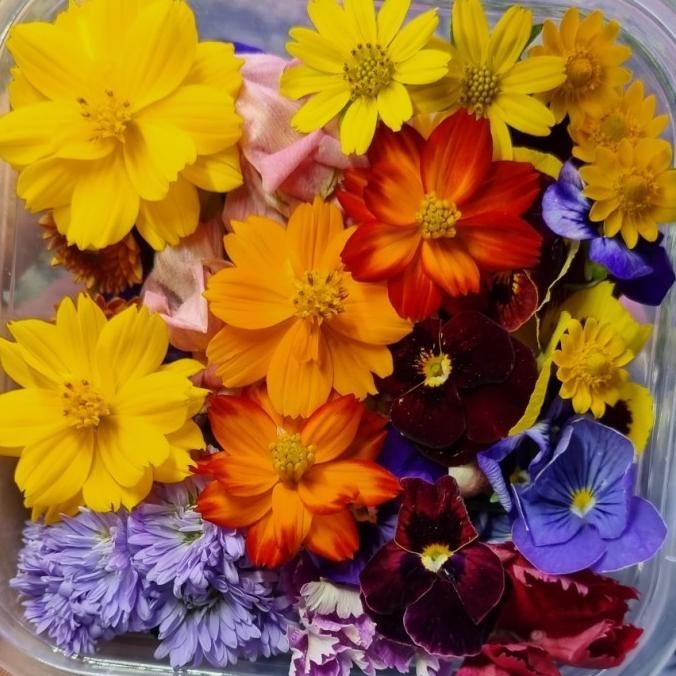 

Mix Edible Flower Fresh