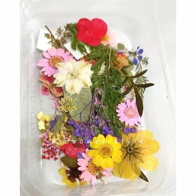 Press Flower Dried Bunga Kering Hiasan Resin Lilin Topper Dummy Cake