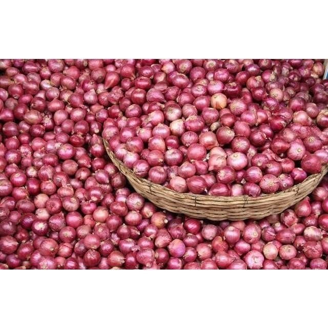 

Bawang Merah Besar Sedang Super Kering ( 500gr ) Super Besar Berkualitas