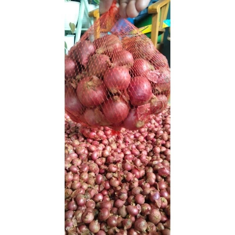 

Bawang Merah Daerah Great A Super Kering Super Besar Berkualitas