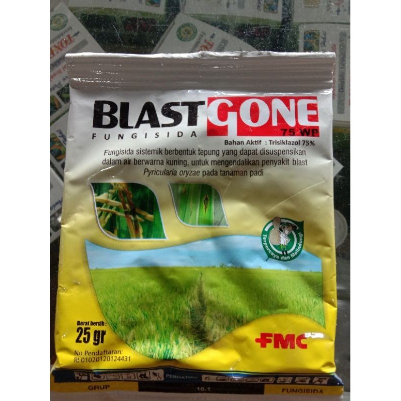 obat pertanian fungisida BLASTGONE 75WP 25gr