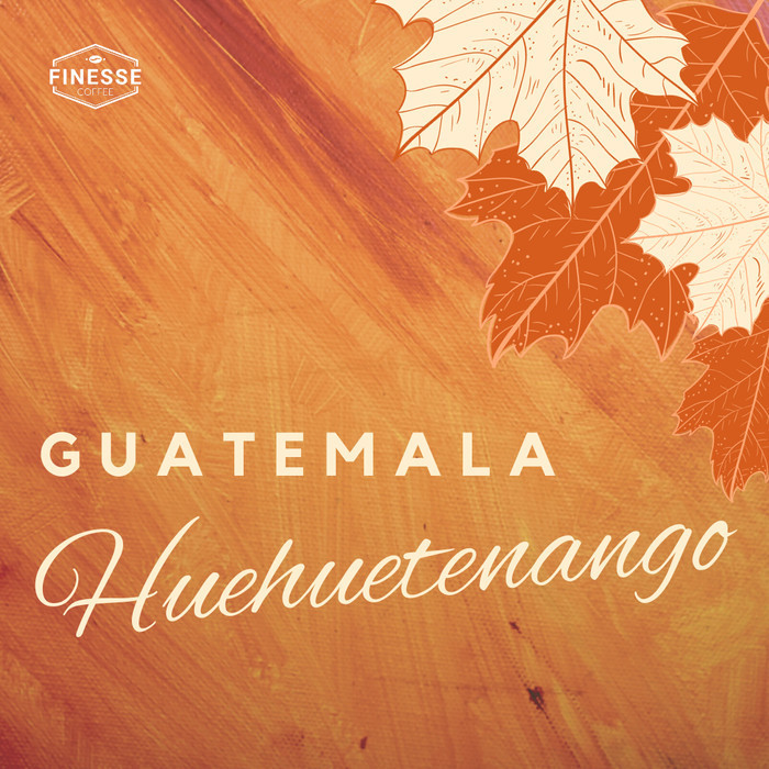 

Ready Arabica Green Coffee Bean - Guatemala Huehuetenango