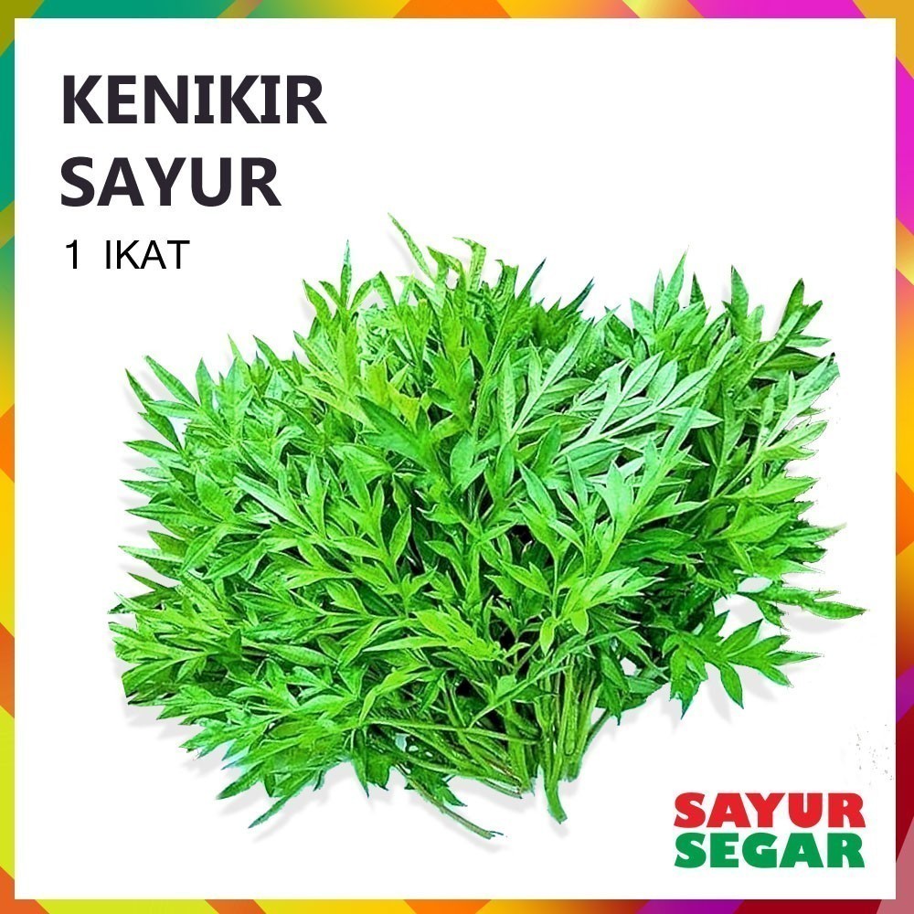 

Kenikir 1 Ikat Fresh