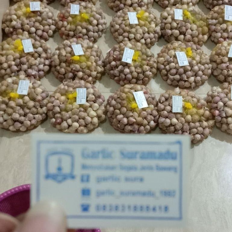 

uj-32 Bawang putih tunggal kecil 1kg impor murah Terlaris