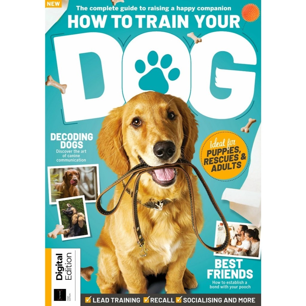 

How to Train Your Dog ( D )