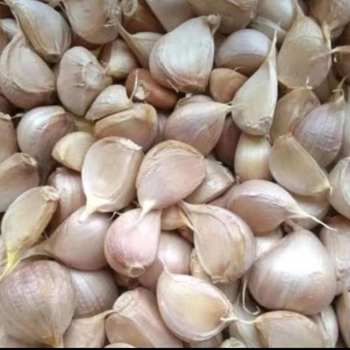 

READY STOCK BAWANG PUTIH KATING SUPER 1000 GR / 1KG !!!!!