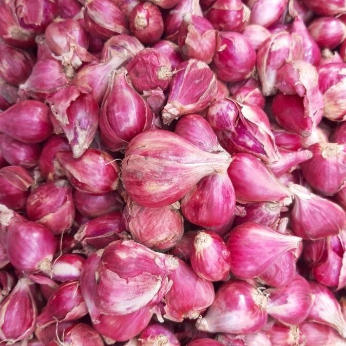 

NEW PRODUK BAWANG MERAH BREBES BESAR 1 KG (PROMO) !!!!!