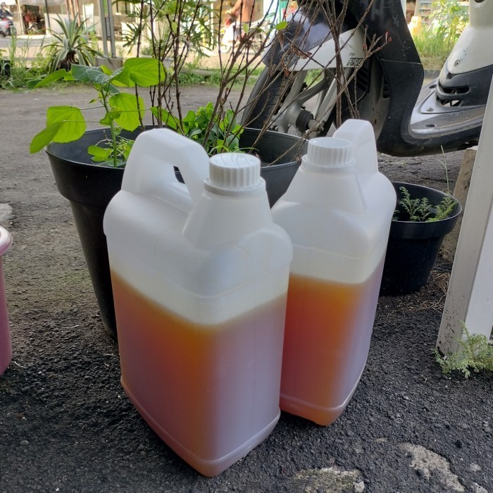 

Madu Curah Randu 5 kg