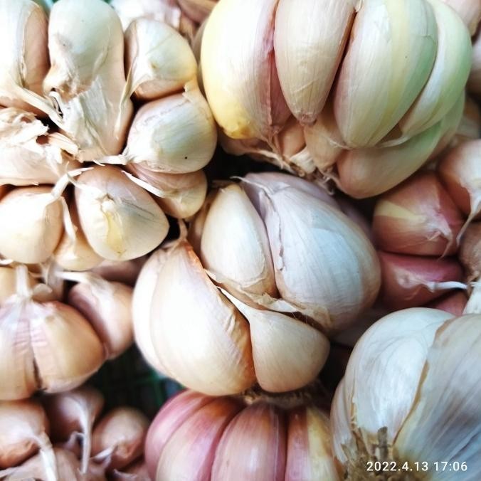 

BIG SALE BAWANG PUTIH HONAN 1KG !!!!!