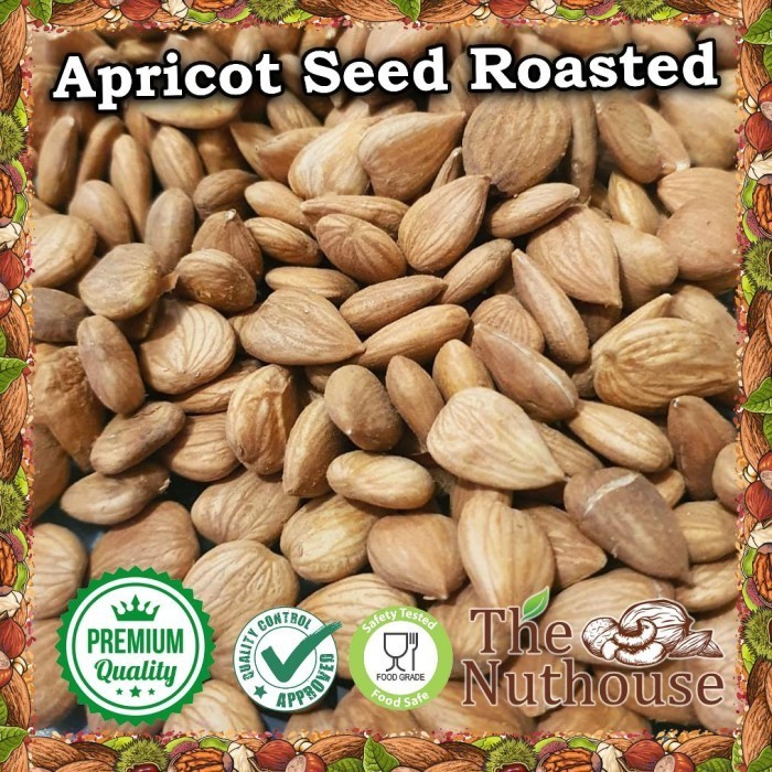 

Best 250gr Apricot Kernel Roasted / Biji Aprikot Panggang