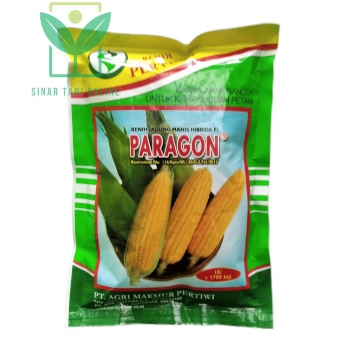 

Paragon F1 Sweet Corn Seeds Hybrid Seeds 1750 Seeds