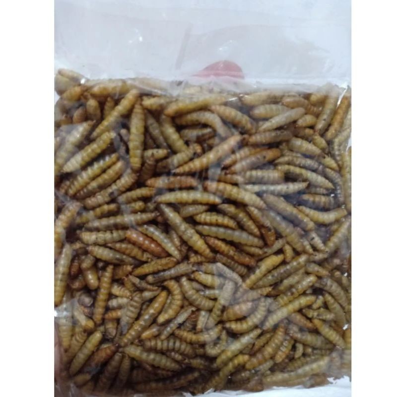 magot kering bsf 1 Kg #magot kering#pakan ikan# pakan burung#pakan ternak#magot magot#magot murah#pa