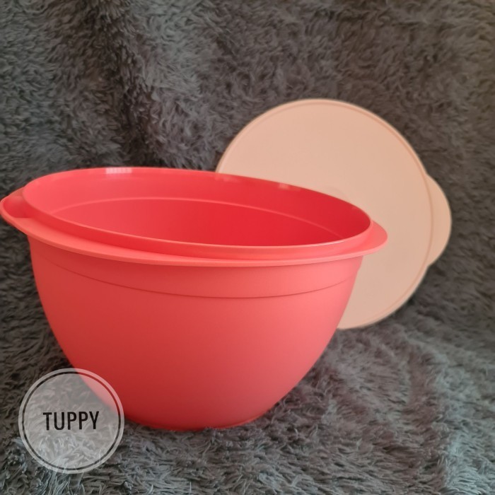 Legacy Bowl 10 L Baskom Tupperware With Laddle