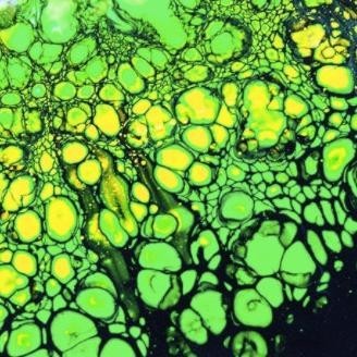 

Paket Cat Lukis Akrilik 250Ml 7 Warnaa Fany Mall