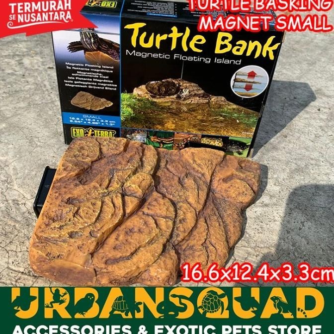 TURTLE BANK EXOTERRA BASKING SPOT KURA AIR RES ALBINO BRAZIL DAMER