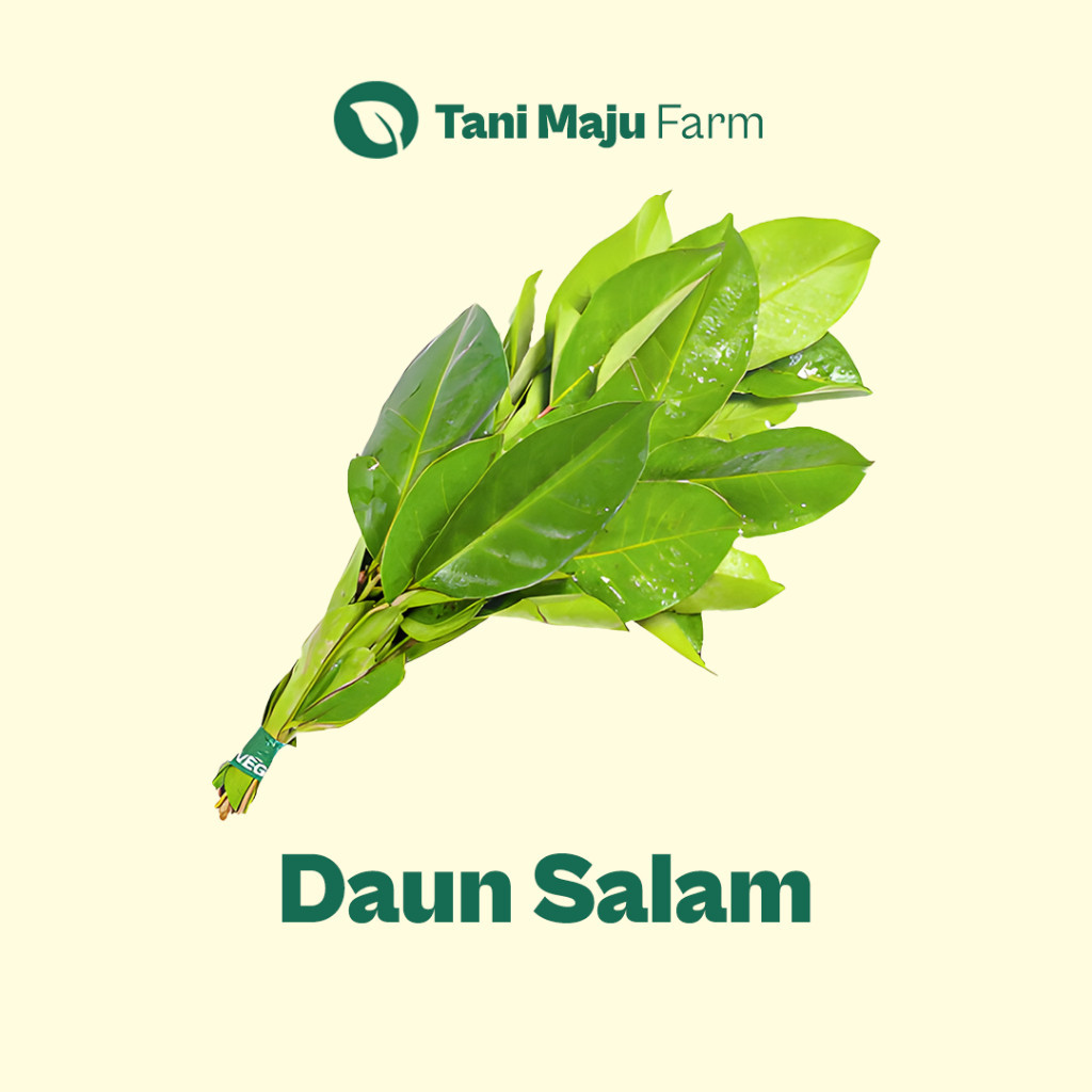 

TANI MAJU - Daun Salam Fresh Kering Organik (10 pcs) - Rempah & Bumbu